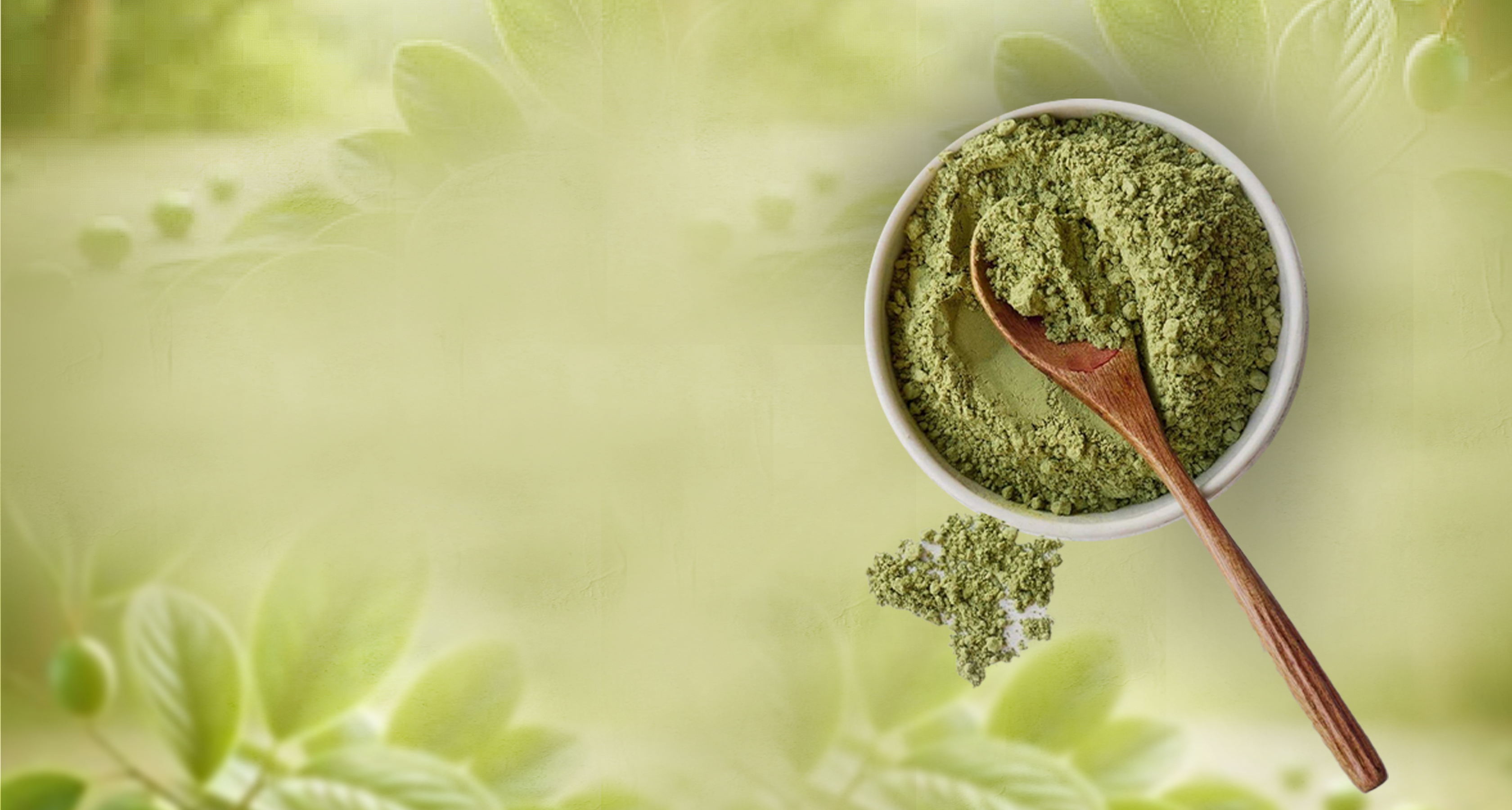 luchiana-0307815169-3